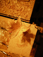 obrazek/thumbnail