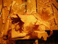 obrazek/thumbnail
