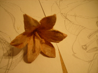 obrazek/thumbnail