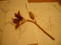 obrazek/thumbnail