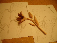 obrazek/thumbnail