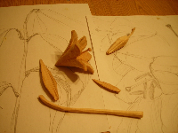 obrazek/thumbnail