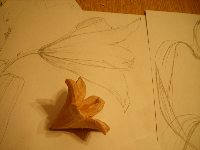 obrazek/thumbnail