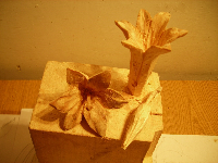 obrazek/thumbnail