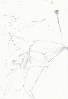 obrazek/thumbnail