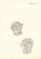 obrazek/thumbnail
