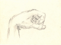 obrazek/thumbnail