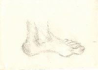 obrazek/thumbnail