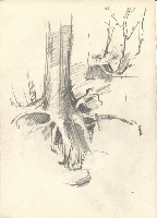 obrazek/thumbnail