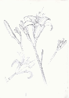 obrazek/thumbnail