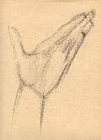 obrazek/thumbnail