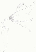 obrazek/thumbnail