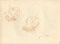 obrazek/thumbnail