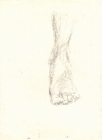 obrazek/thumbnail