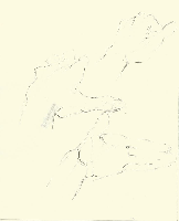 obrazek/thumbnail