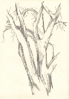 obrazek/thumbnail